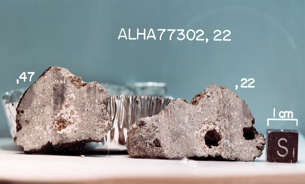 ALHA77302J.jpg