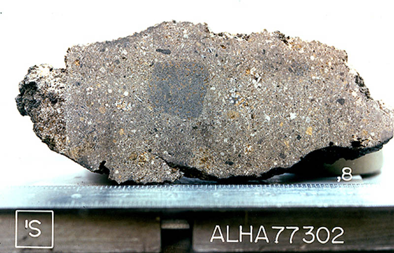 ALHA77302T.jpg