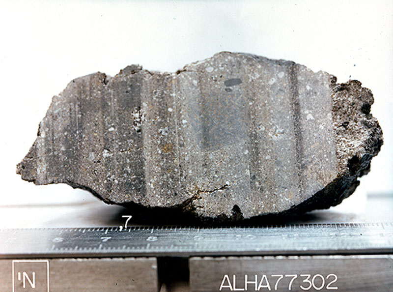 ALHA77302W.jpg