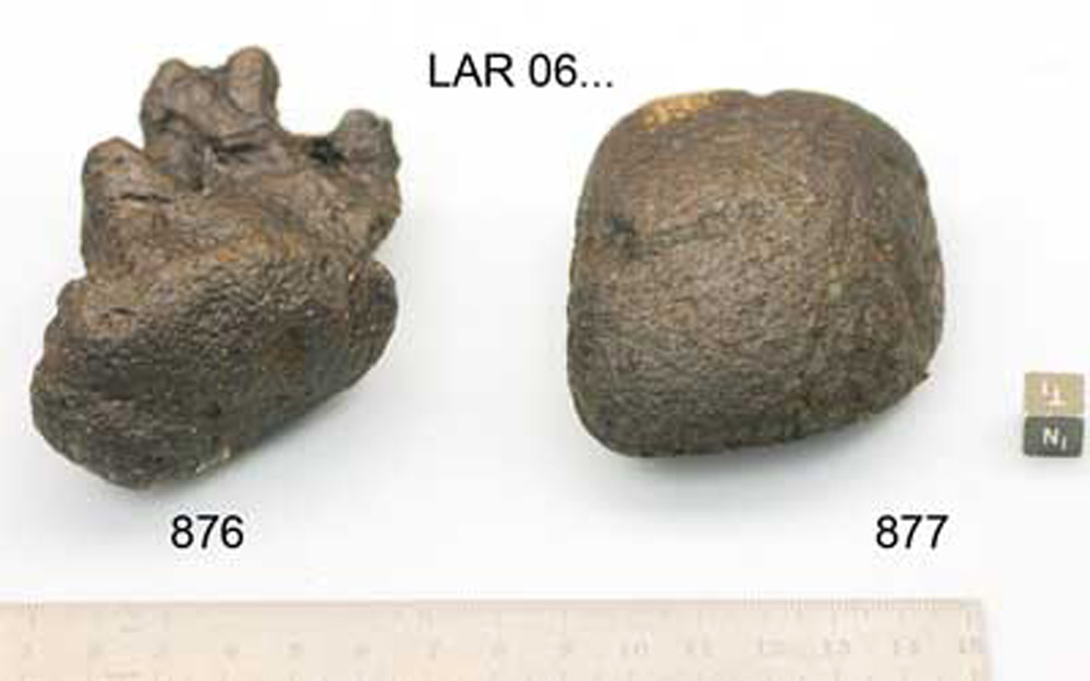 lar06876,877n.jpg