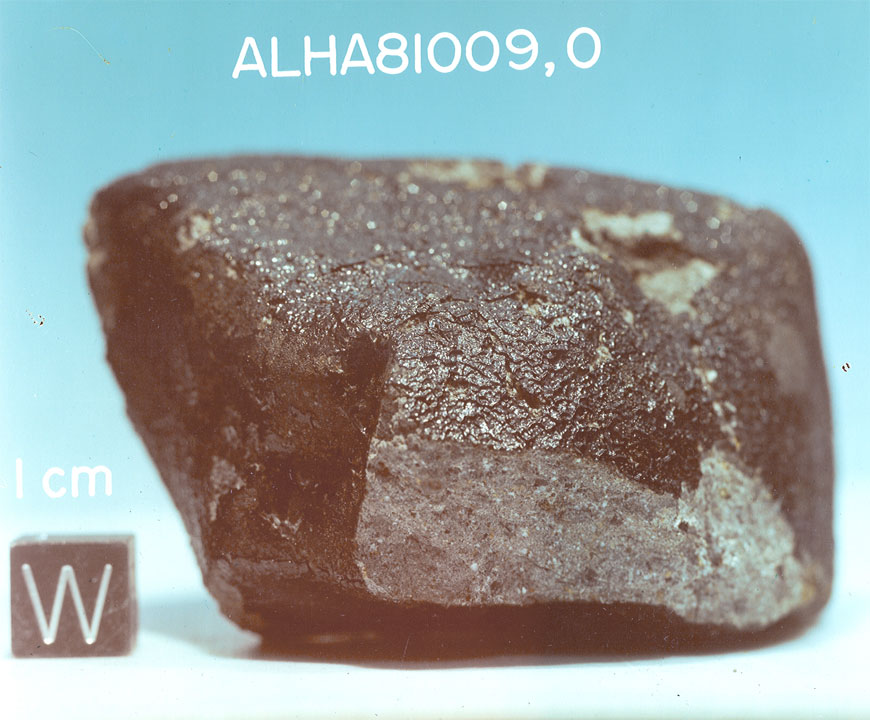 alha81009c.jpg