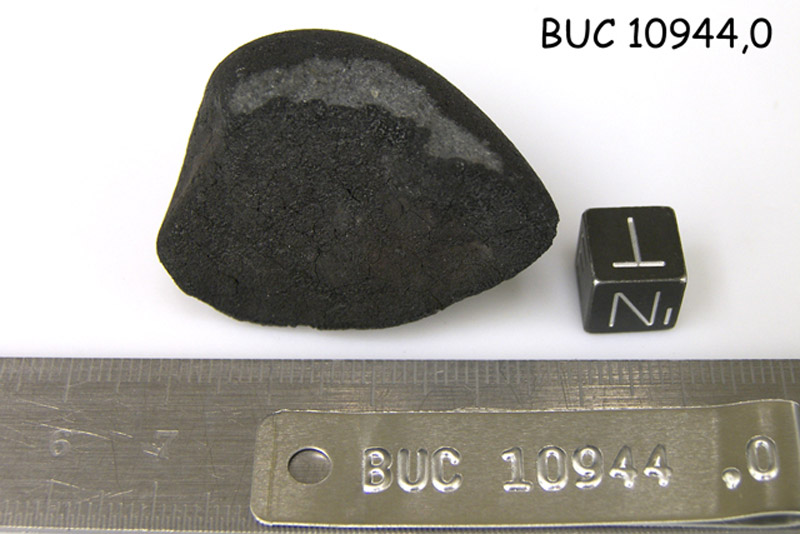 buc10944,0n.jpg