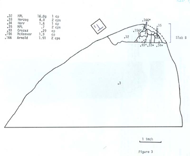 ALHA78084cuttingB.jpg