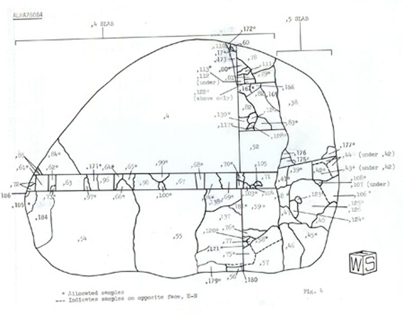 ALHA78084cuttingC.jpg