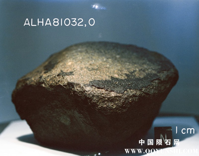 ALHA81032(S82-39962).jpg