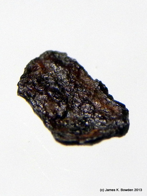 第二个铁陨石带翻转的嘴唇由詹姆斯·K·鲍登发现在弗兰肯陨石散落场在亚利桑那州在他.jpg