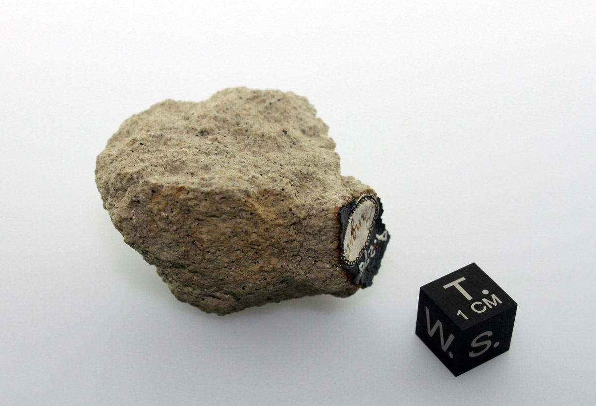 chassigny meteorite.jpg