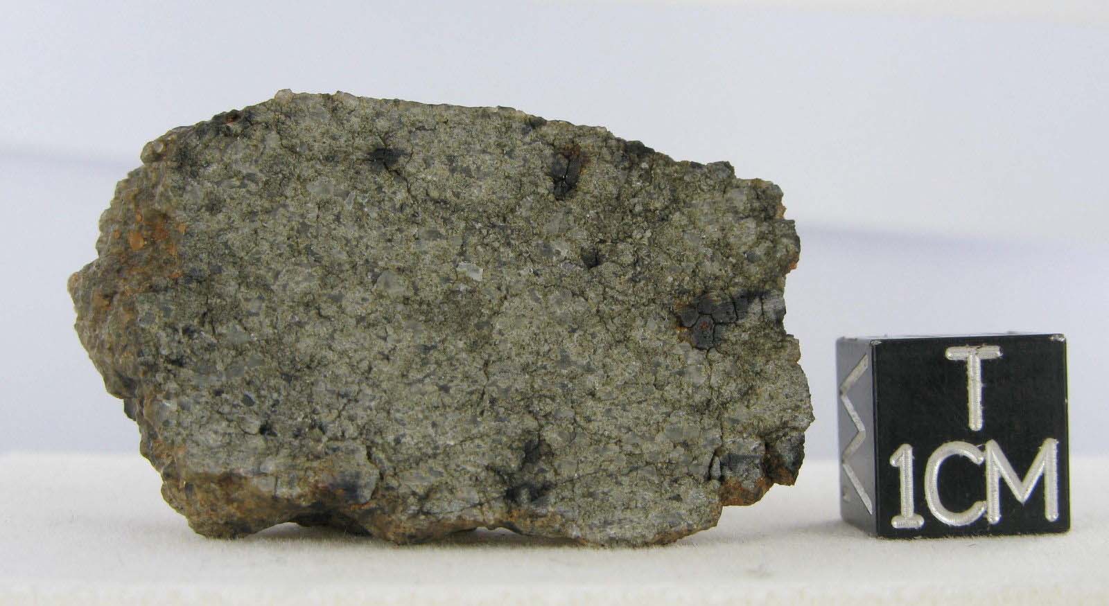 martian meteorite - NWA 2975 10.jpg