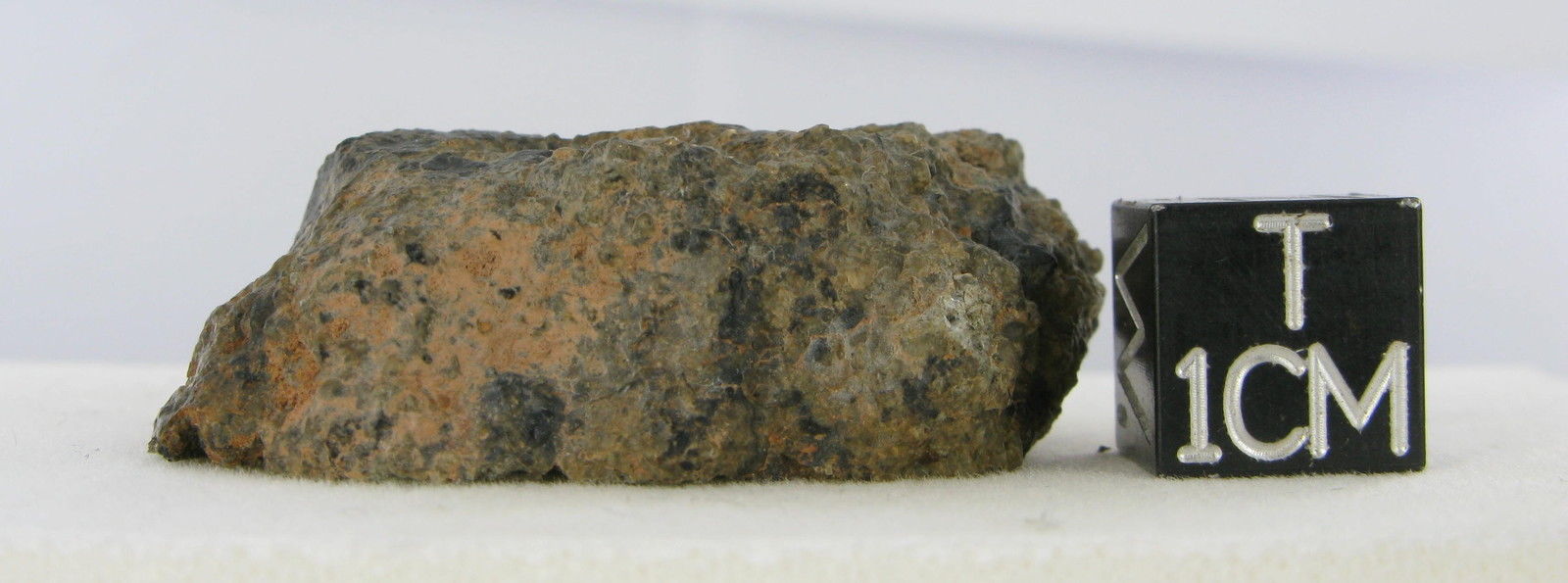 martian meteorite - NWA 2975 14.jpg