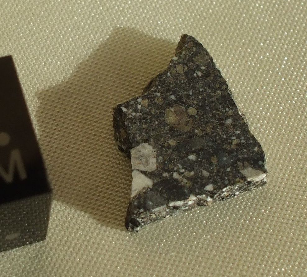 NWA 7611 Lunar Meteorite .jpg