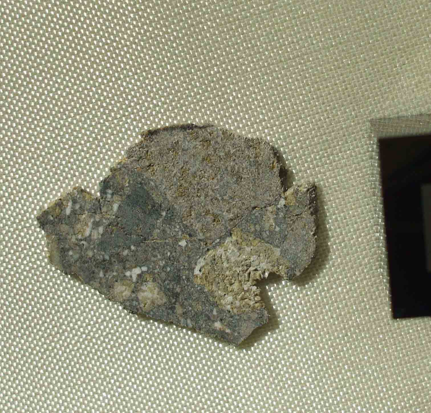 NWA 2727 Lunar Meteorite.jpg