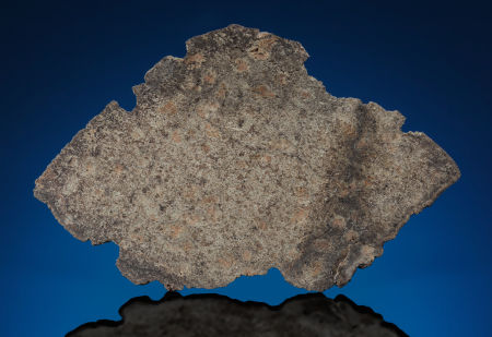 NWA 7397(13.74 x 8.60 x 0.22 cm), weighs 48 gm.jpg