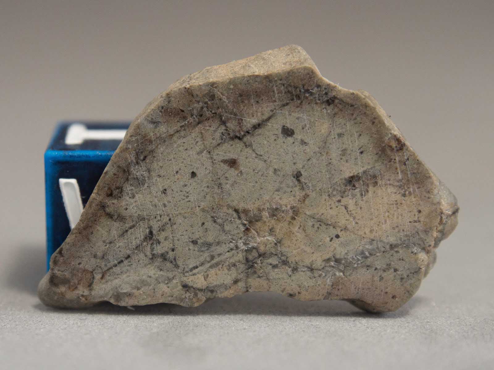 NWA 8599 - lunar meteorite.jpg