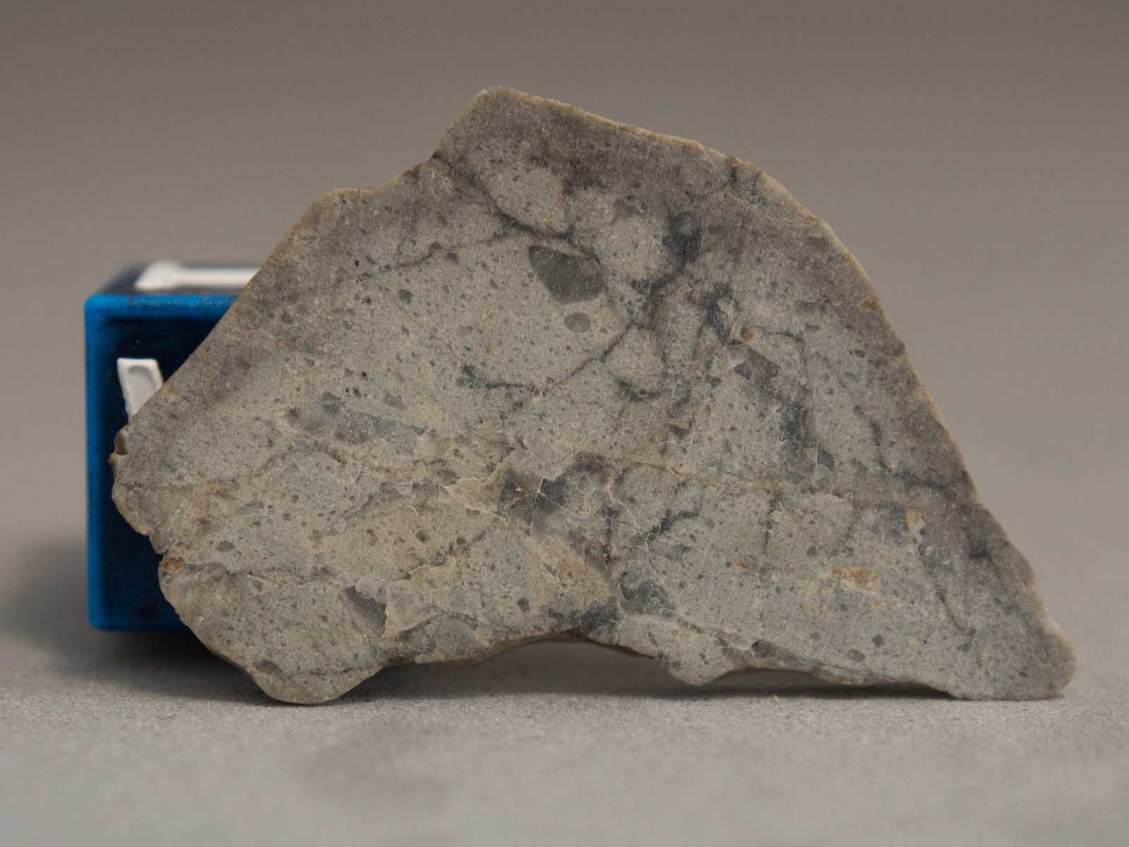 NWA 8599 - lunar meteorite 2.jpg
