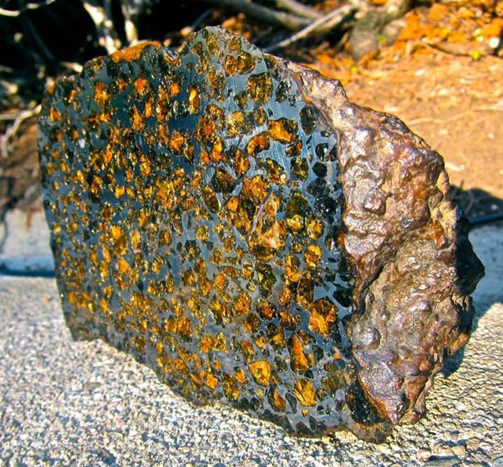 Pallasite (2).jpg