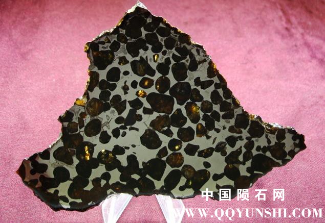 Conception Junction (Pallasite, PMG-an).jpg