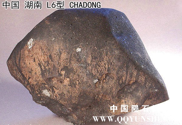 chadong-6693.jpg