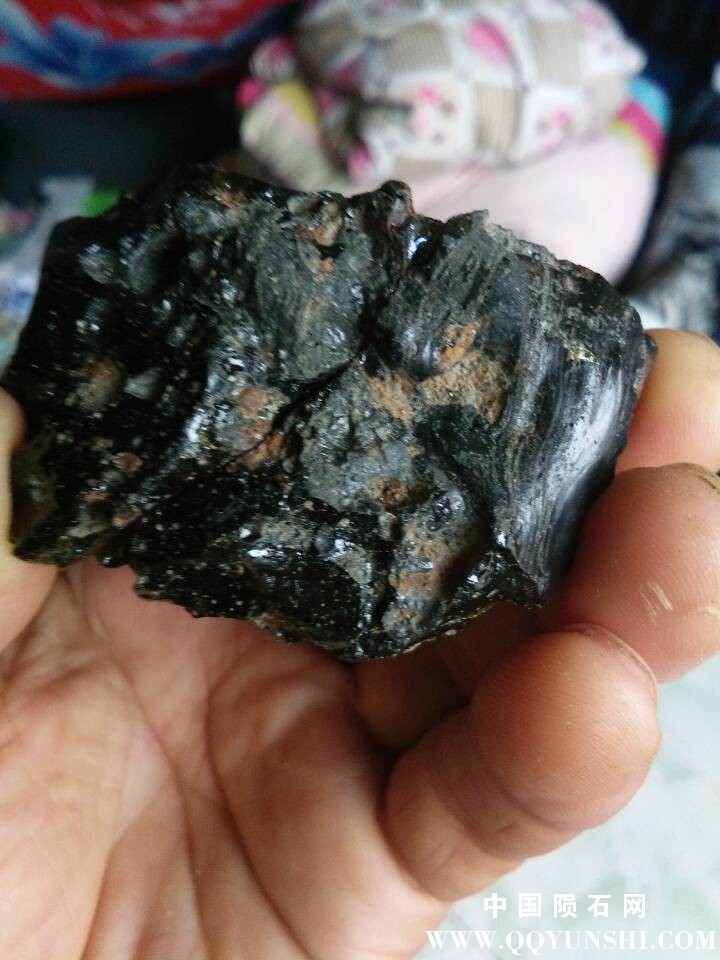 QQ图片20160902123941.jpg