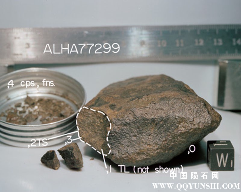 南极普通球类陨石_ALH 77299 H3.7 Chondrite-2.jpg