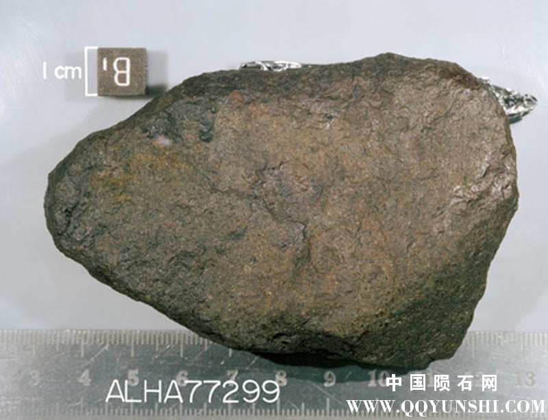 南极普通球类陨石_ALH 77299 H3.7 Chondrite-3.jpg