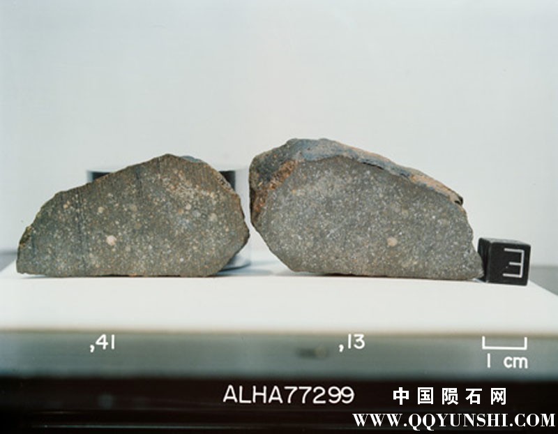 南极普通球类陨石_ALH 77299 H3.7 Chondrite-5.jpg