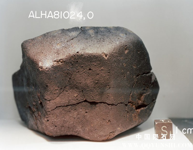 南极普通球类陨石ALH 81024 H3.6 Chondrite -1.jpg