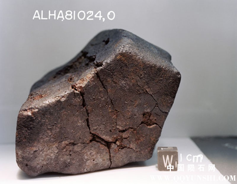 南极普通球类陨石ALH 81024 H3.6 Chondrite 4.jpg