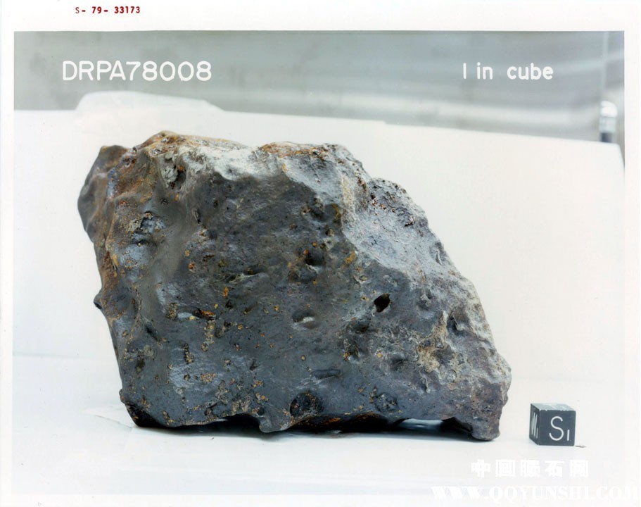 南极铁陨石 Iron-IIAB_DRP 78008 -3.jpg