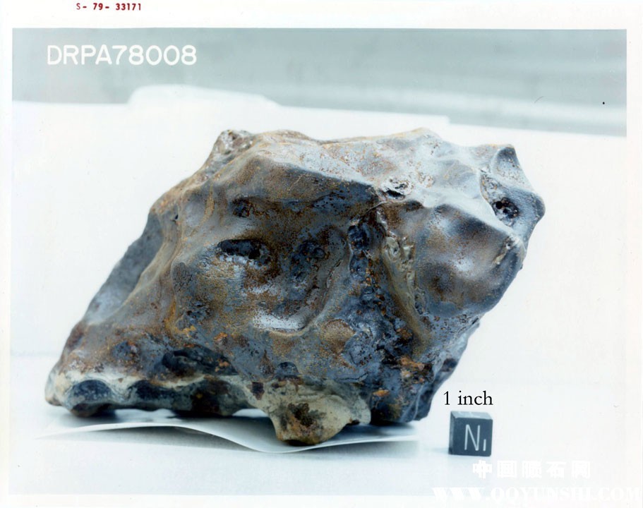 南极铁陨石 Iron-IIAB_DRP 78008 -4.jpg