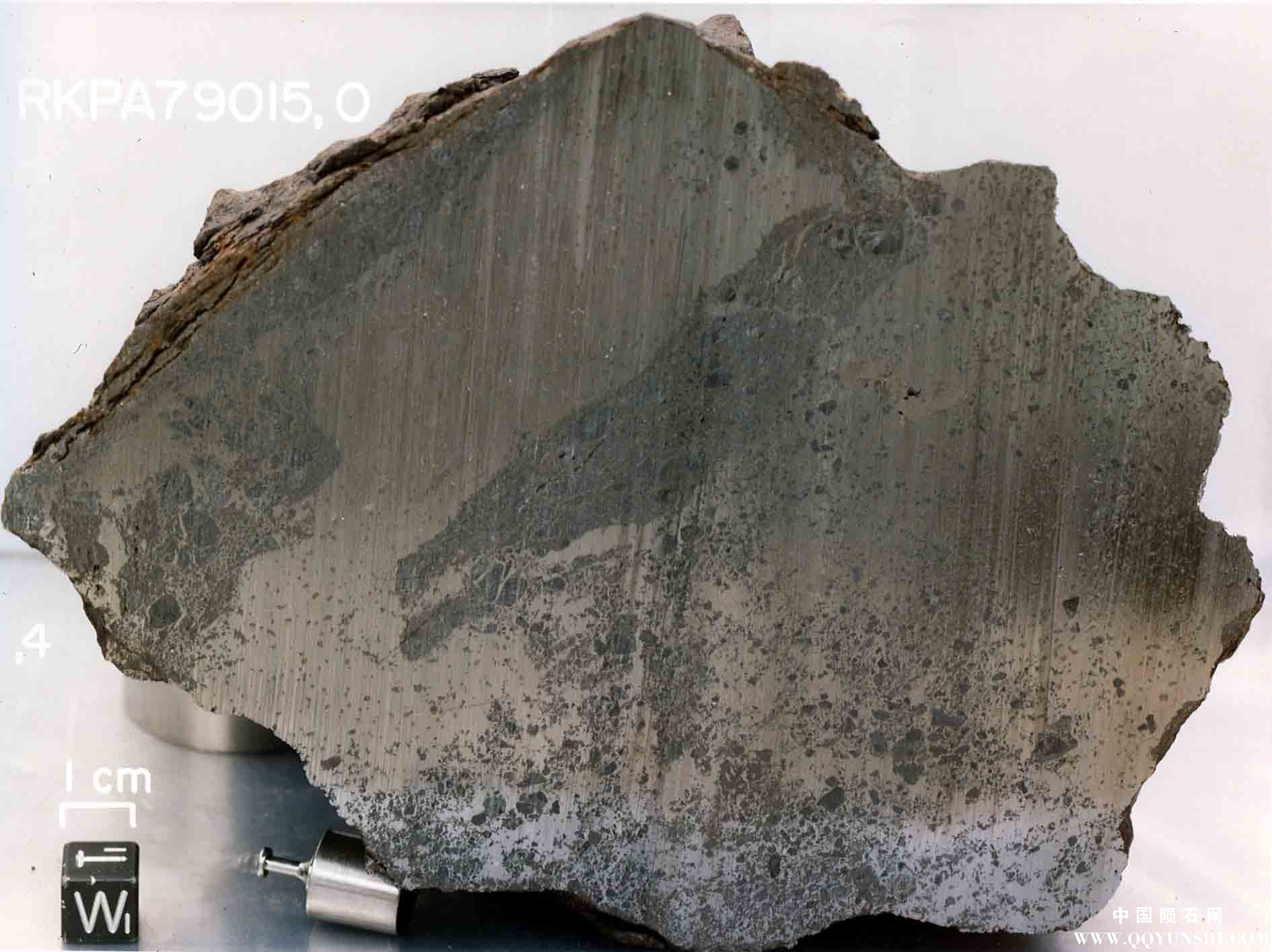 南极中铁陨石 Mesosiderite_RKP 79015-1.jpg