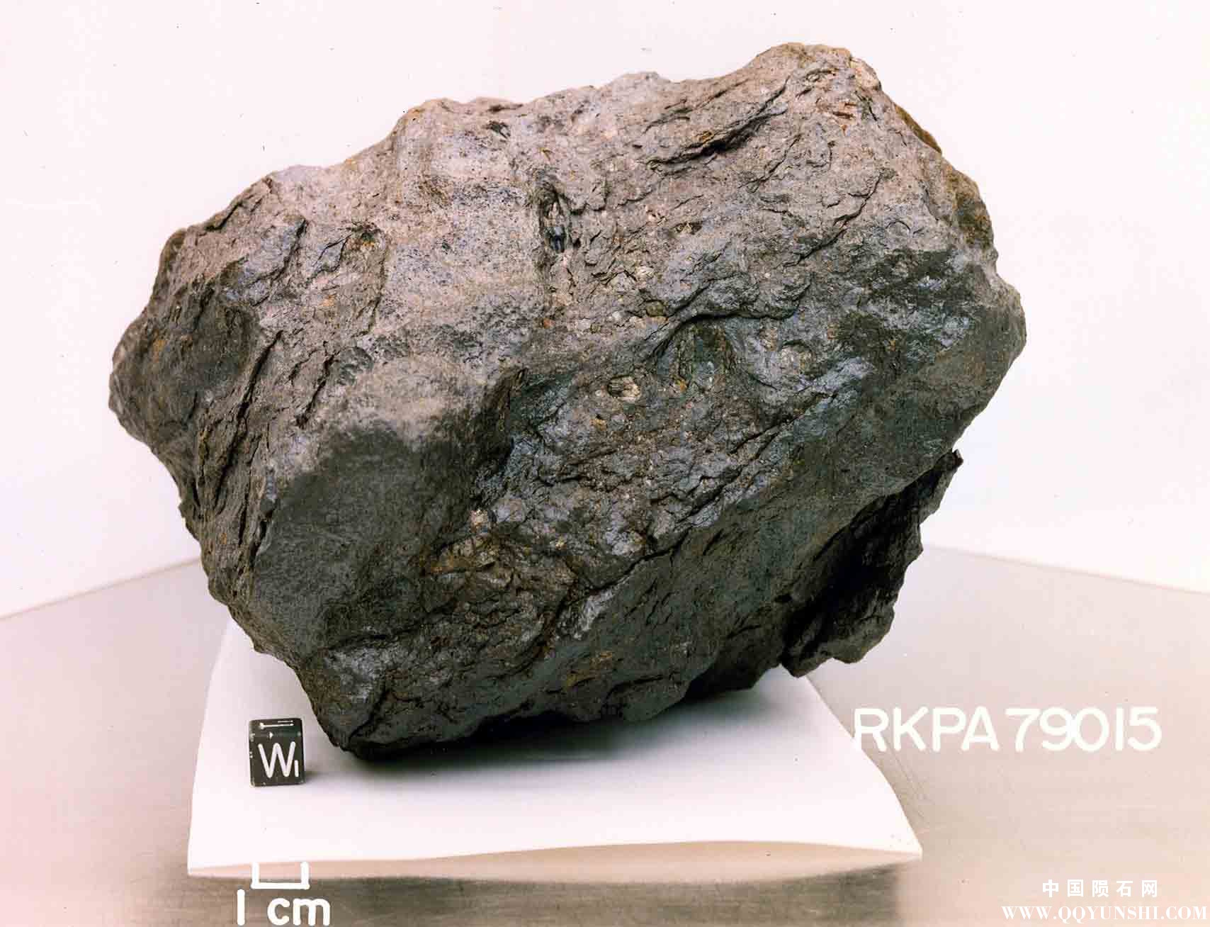 南极中铁陨石 Mesosiderite_RKP 79015-5.jpg