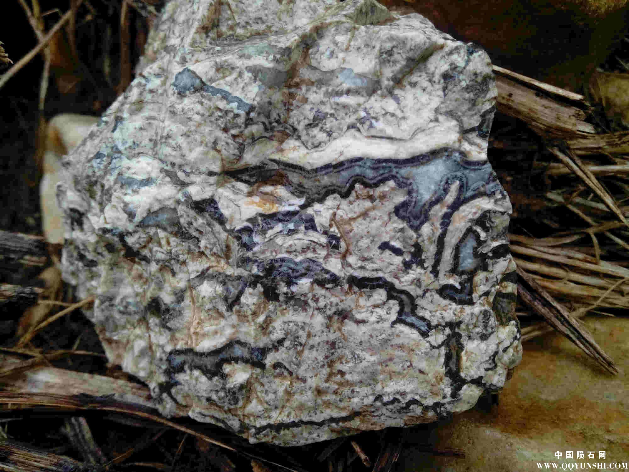 变质麻岩IMG_20150809_151934.jpg