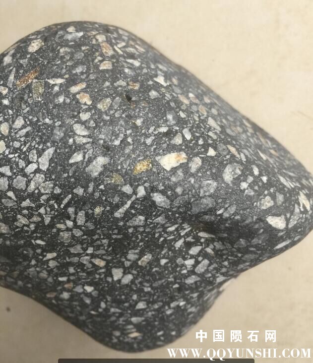 白点地方可见颗粒集合