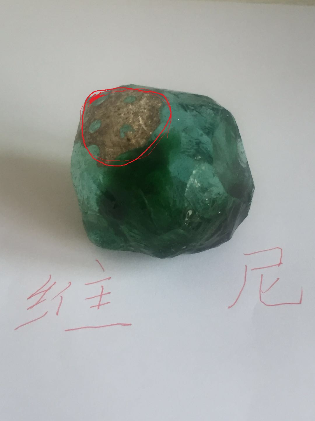 红色圈内的特征