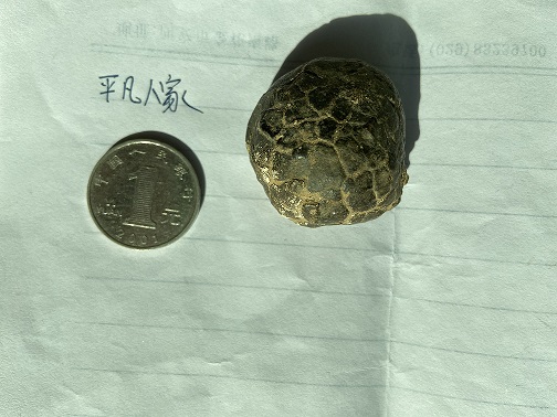 1号石头，重量35.6g，无磁性