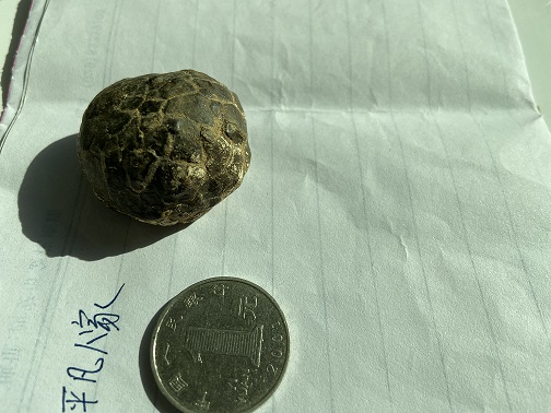 1号石头，重量35.6g，无磁性