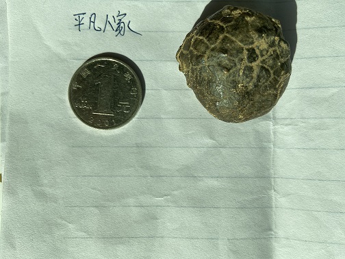 1号石头，重量35.6g，无磁性