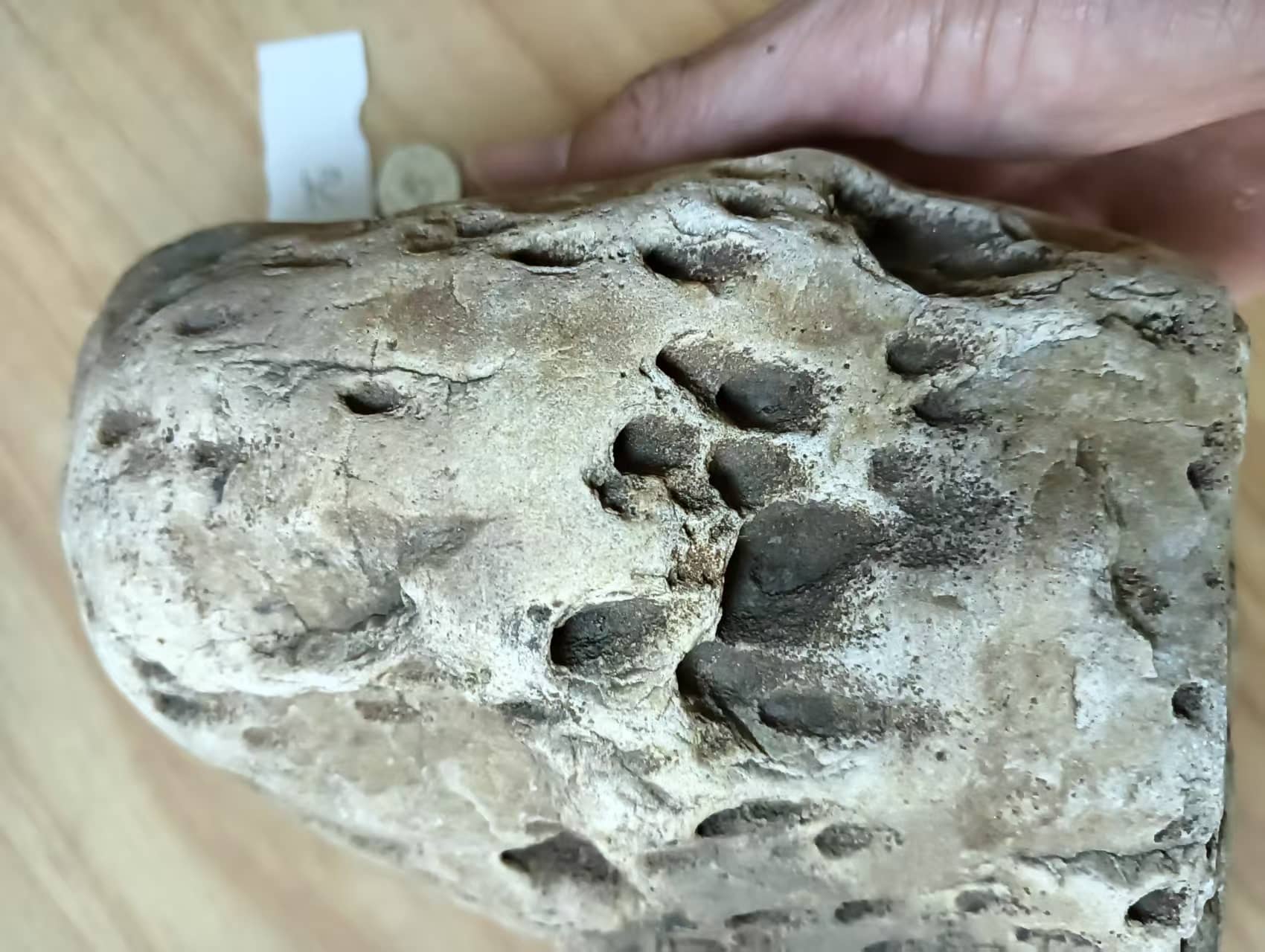 微信图片_20250510132718 (1).jpg