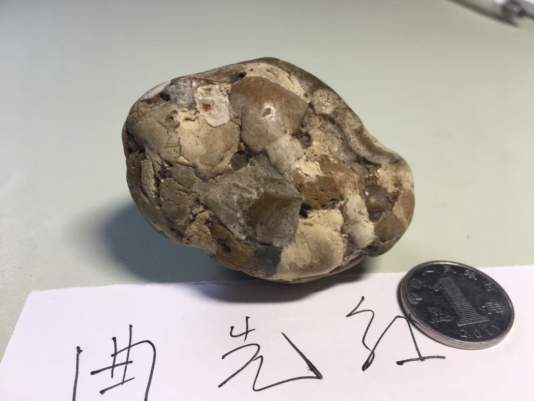微信图片_20250513174606.jpg