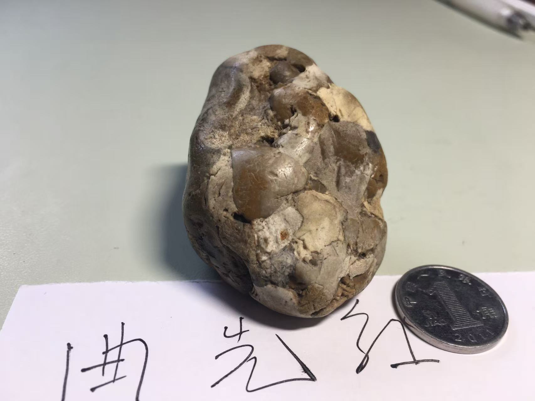 微信图片_20250513174601.jpg