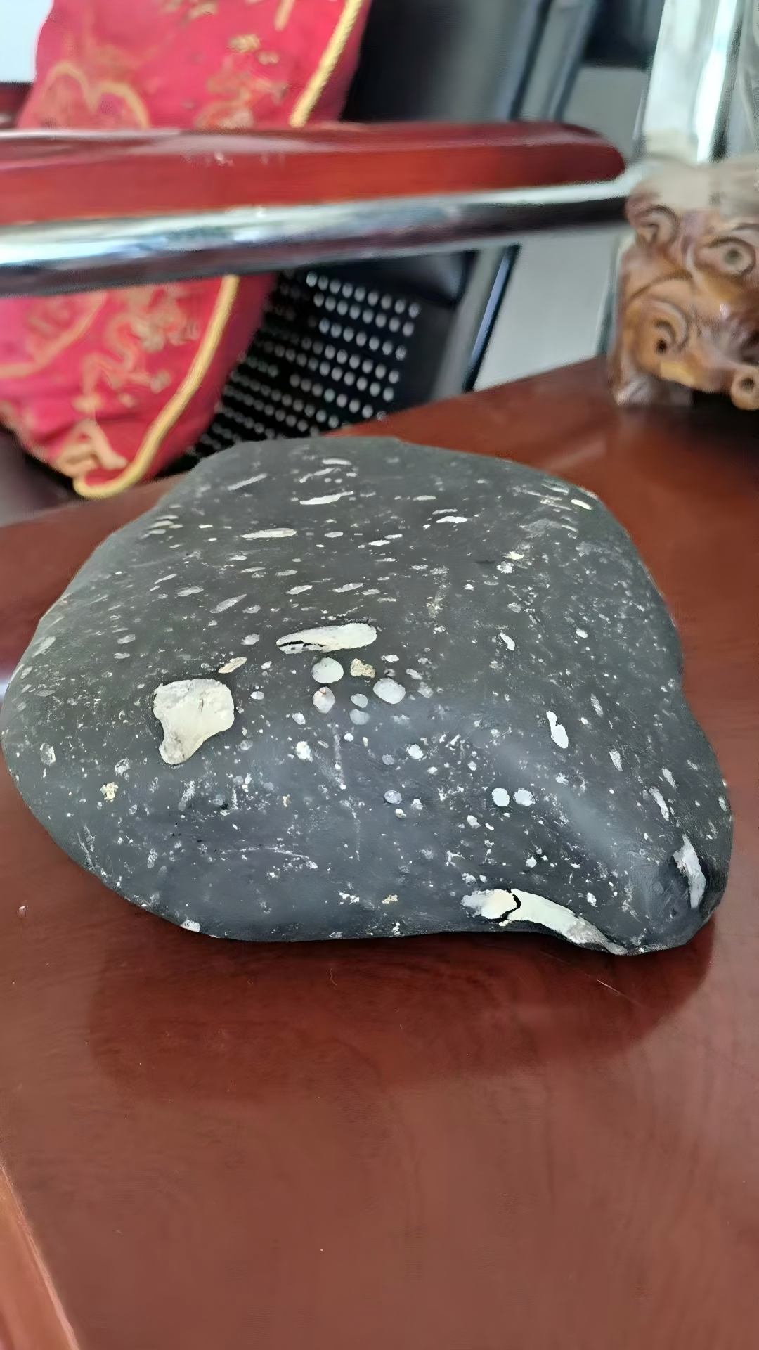 金强河1.jpg