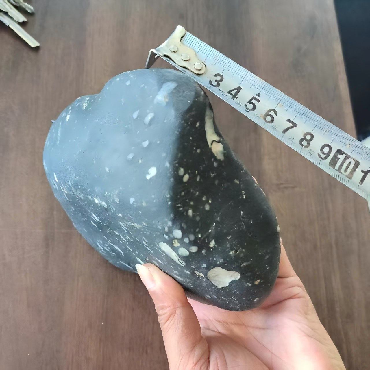 金强河4.jpg