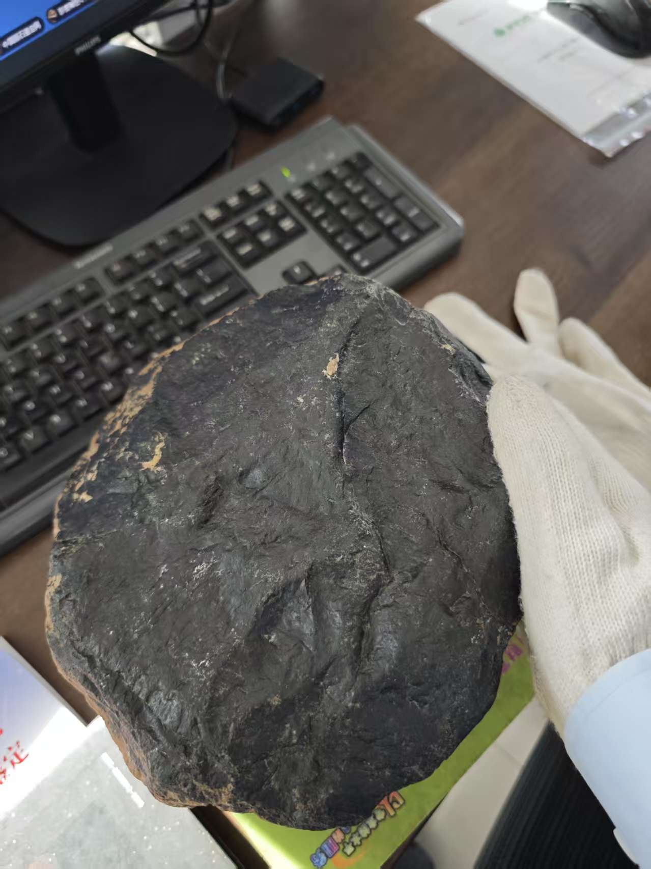 肃北10着地面.jpg