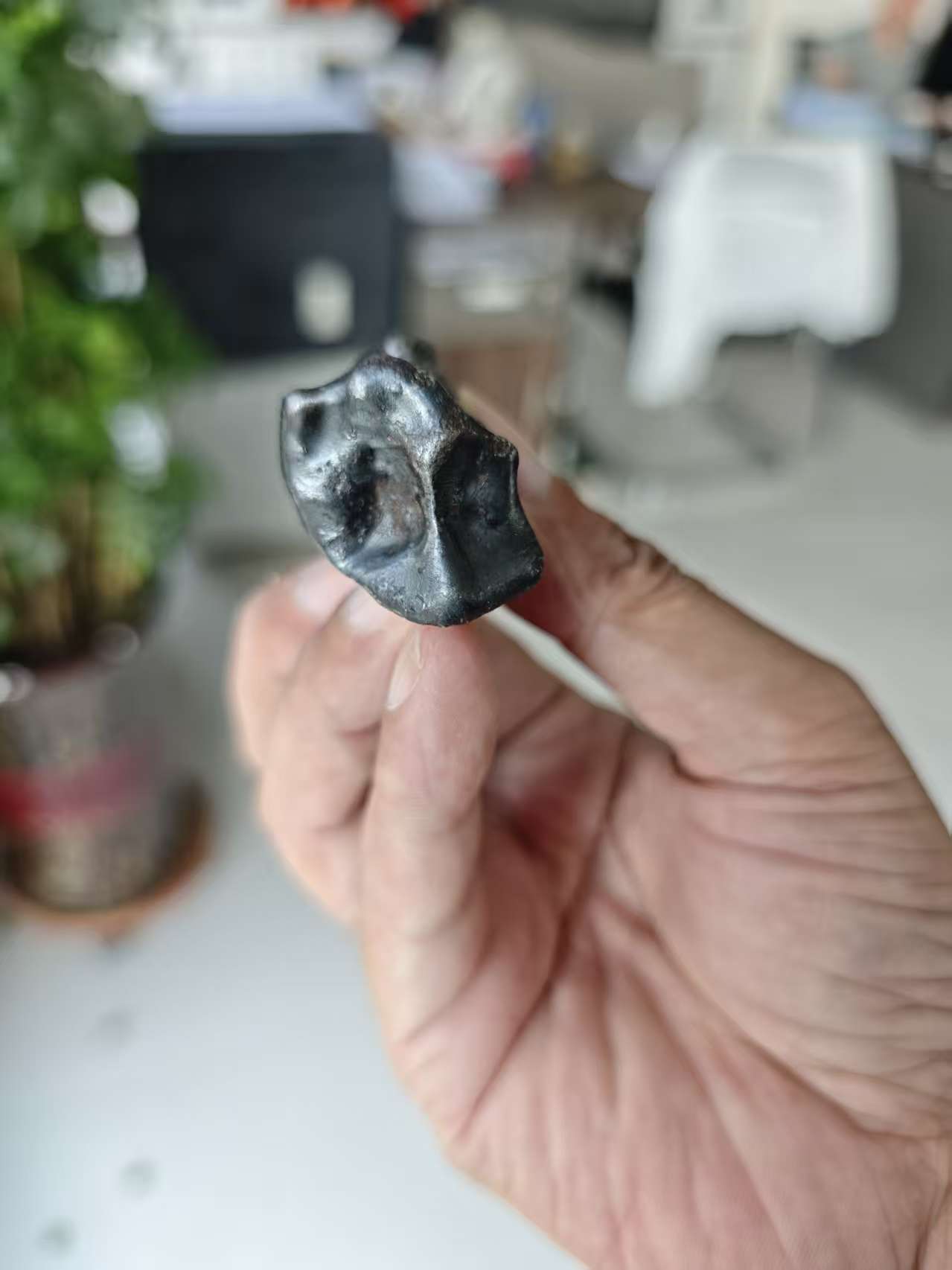 阿林2.jpg