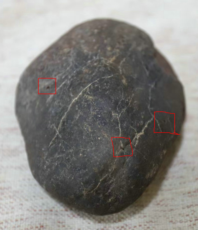 红色框内有褐色颗粒