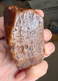 mmexport1757733934292.jpg