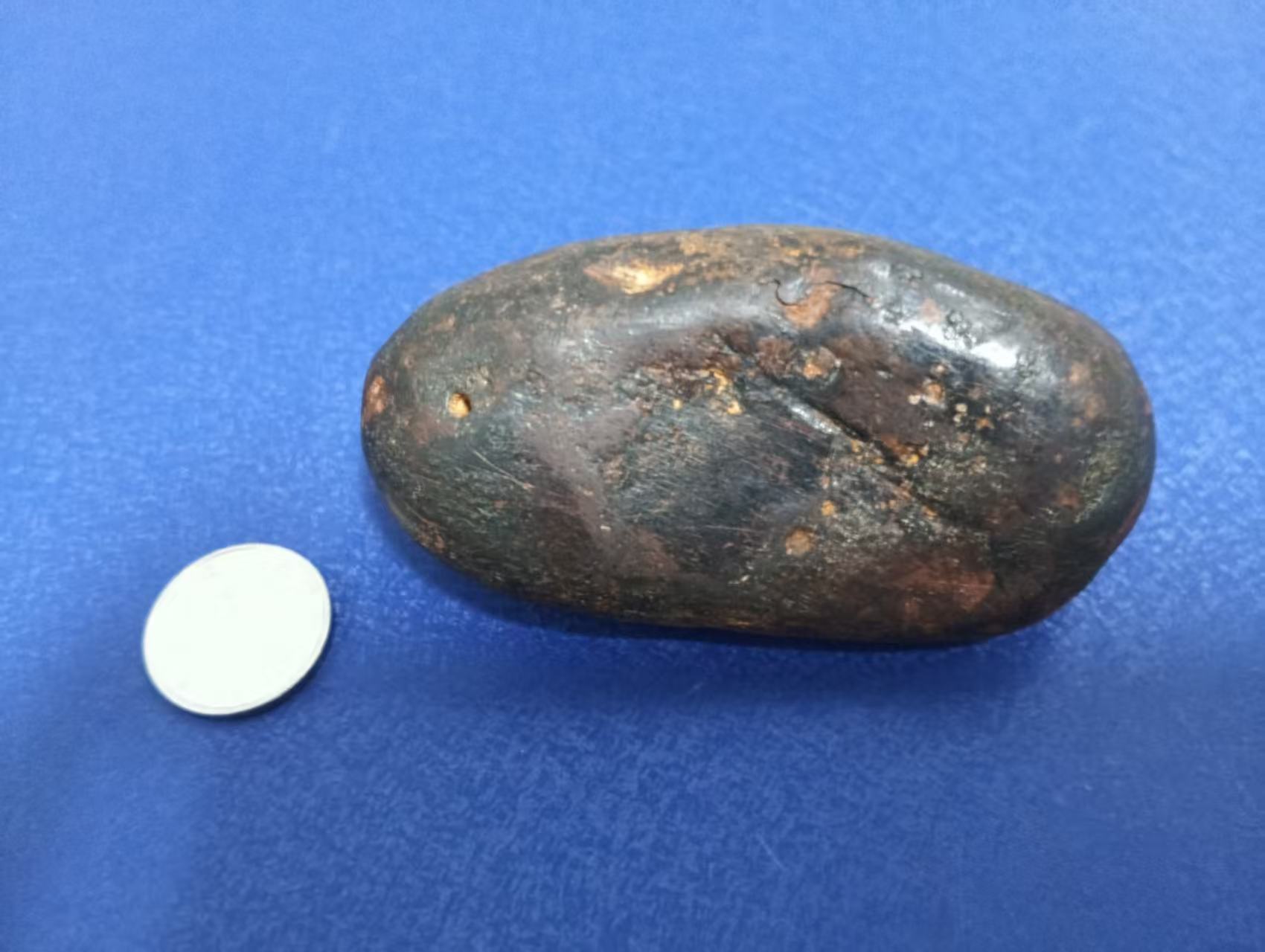 1角钱币参照物放旁边