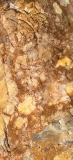IMG_0768 2.jpeg