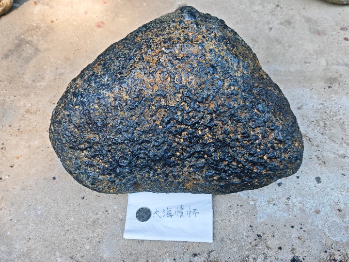 1780233511437.jpg