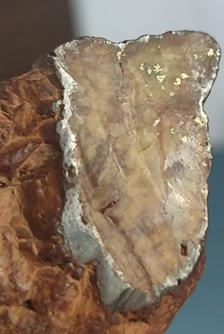 61261911ad6bbac209c63dcad3ecef91.jpg